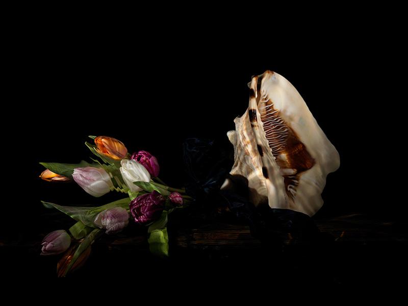 a strange scene vanitas where a conch and tulips are taken back to their natural habitat underwater