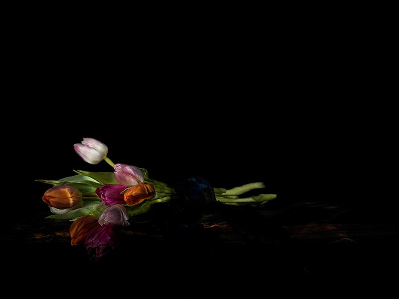 a tied bunch of tulips vanitas on wooden table with silk photography