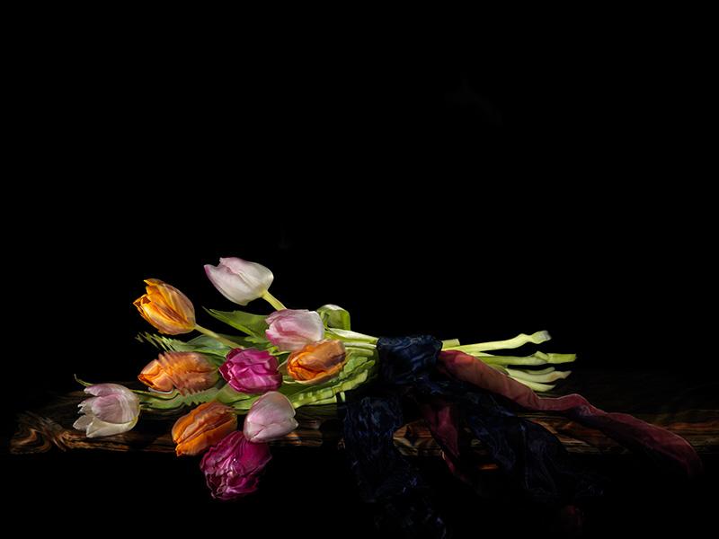 a tied bunch of tulips still life