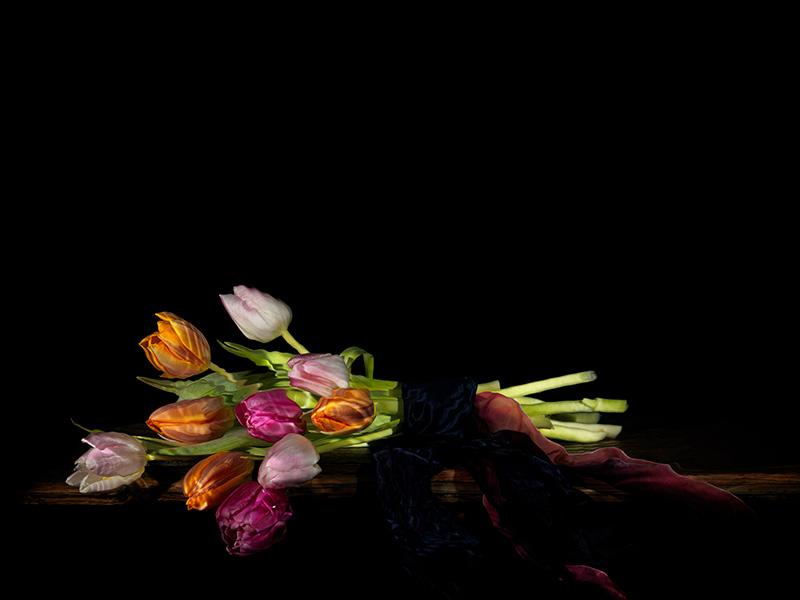 a simple still life vanitas photograph that looks like a paintings
