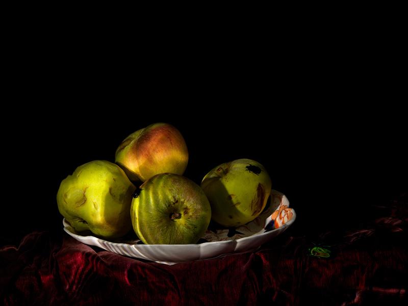 A vanitas of apples in a porcelain dish with beetle