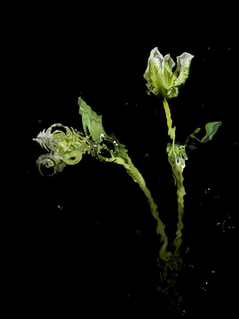 white underwater floral tribute vanitas for a modern world