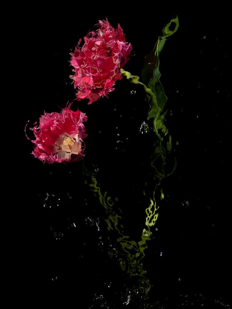 the symbolism of flowers in art using water as a recurring theme