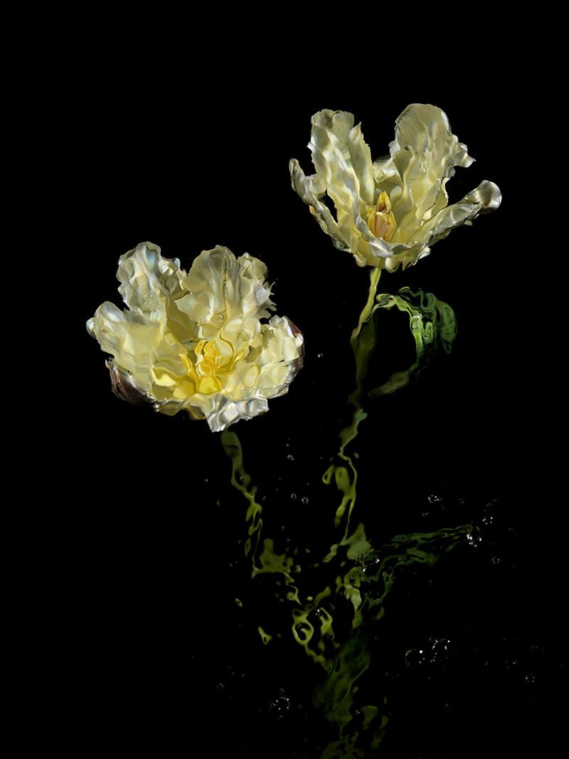 two flower heads in water