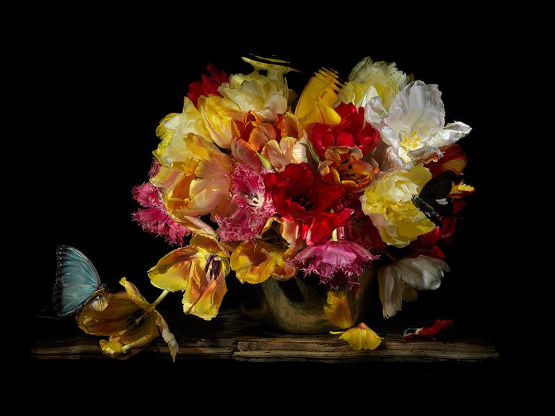 a floral vanitas with butterflies and insect fruit in water bubble