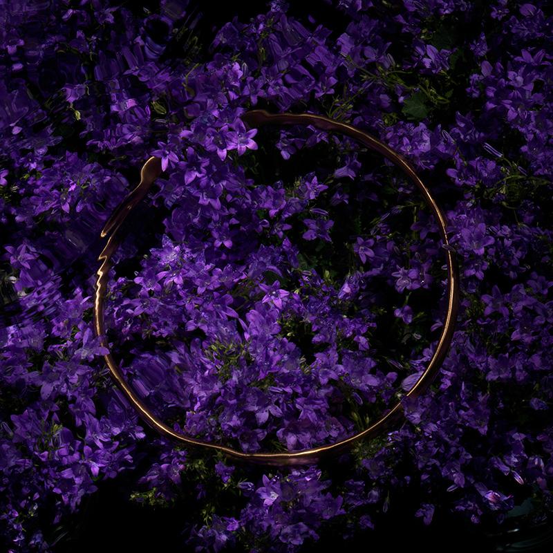 Radiant Halo II: Submerged Gold Circular form resting on Purple Floral Canvas