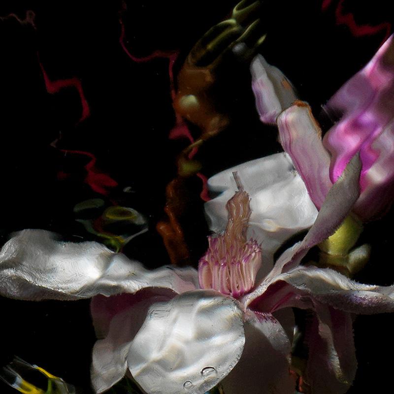 Distorted Reflection: Purple Blooms and Vivid Stems Underwater