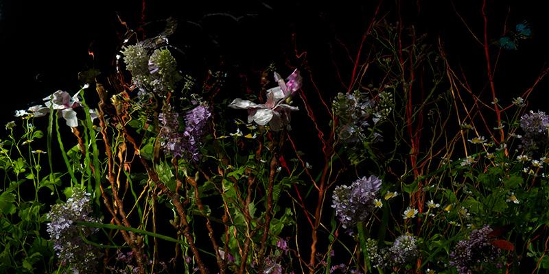 Floral Vanitas Garden: Lilacs and Twisted Branches in Liquid Still Life