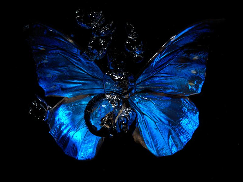 Morpho Mirage: Underwater Ballet of Butterfly Life