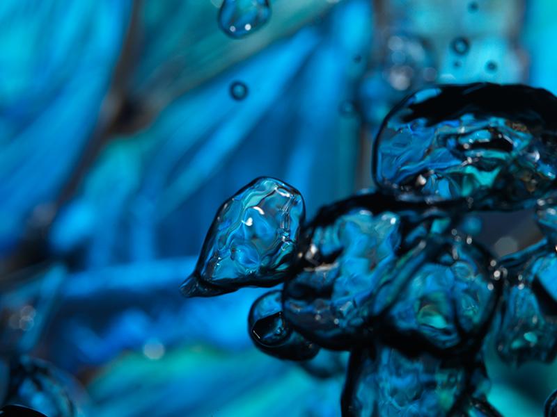 Bubbling Beauty: Reflecting Life Through Blue Morpho Butterflies