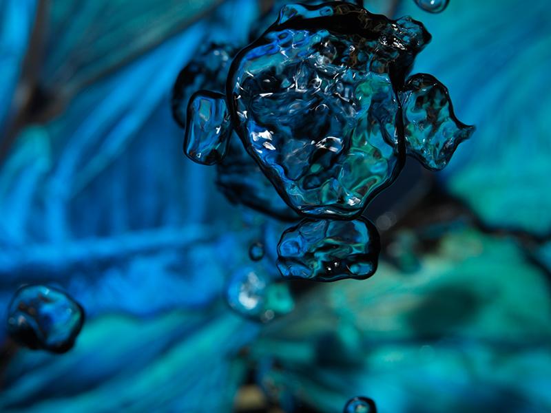 Fluid Bubbles: 50 Underwater Masterpieces of Vanitas Art