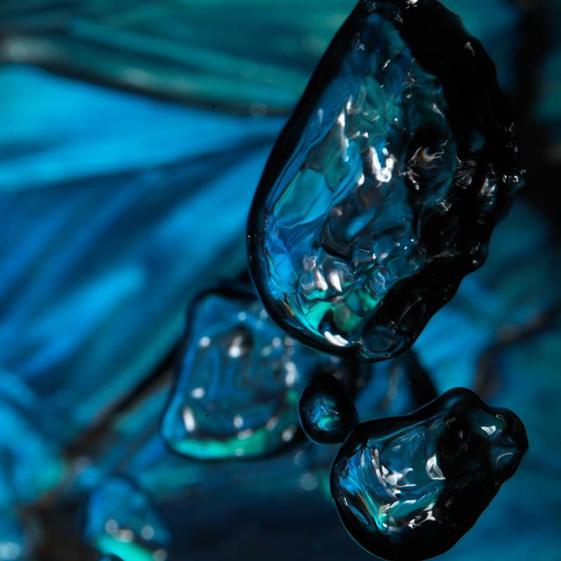 Fluid Fantasia: Blue Morpho Butterfly Ballet in Vanitas with Bubbles