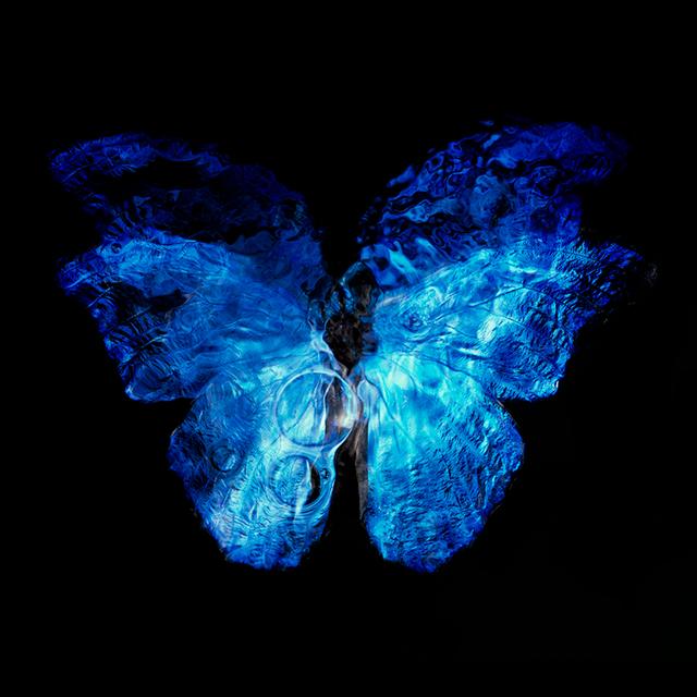 Rare Blue Winged Butterfly: Contemporary Vanitas Photography in Black Underwater Scene