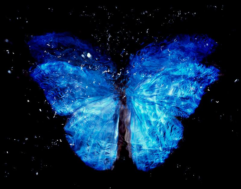 Analog Film Masterpiece: Rare Butterfly in Black Underwater Vanitas