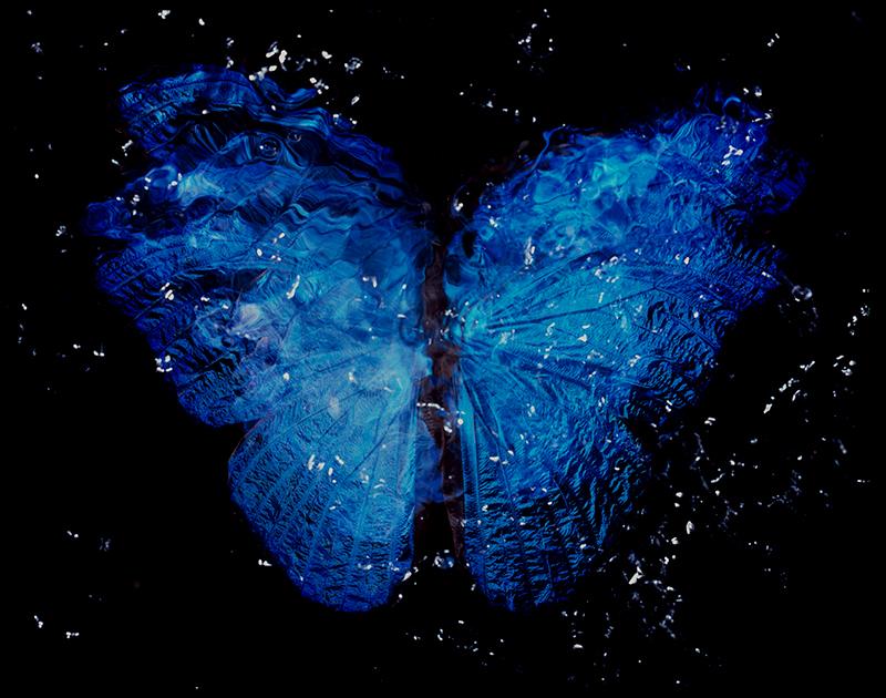 Rare Blue Wings Elegance: Modern Vanitas with Butterfly on Analog Film