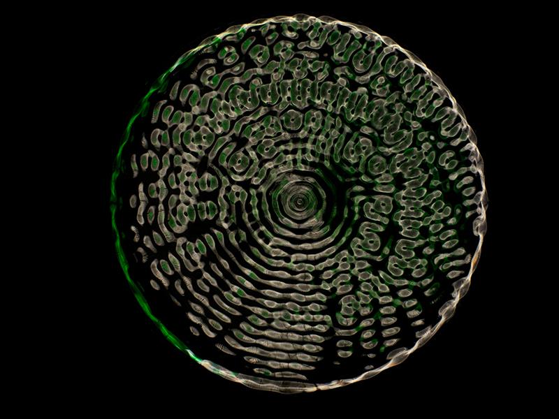 Unveiling the Universe: Gravitational Waves in Full Color with Cymatics Photography