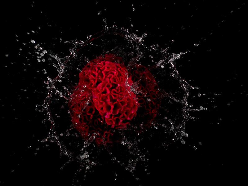 red organic forms cast into water and captured on film