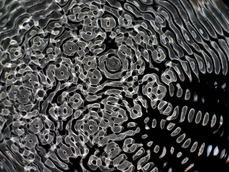 Design Mavericks: Gravitational Waves in Cymatics Artistry Unveiled