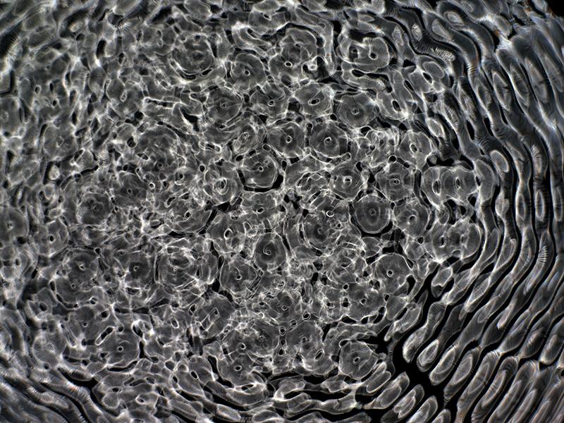 Cinematic Tapestry of space Gravitational Waves Woven into Cymatics Photography