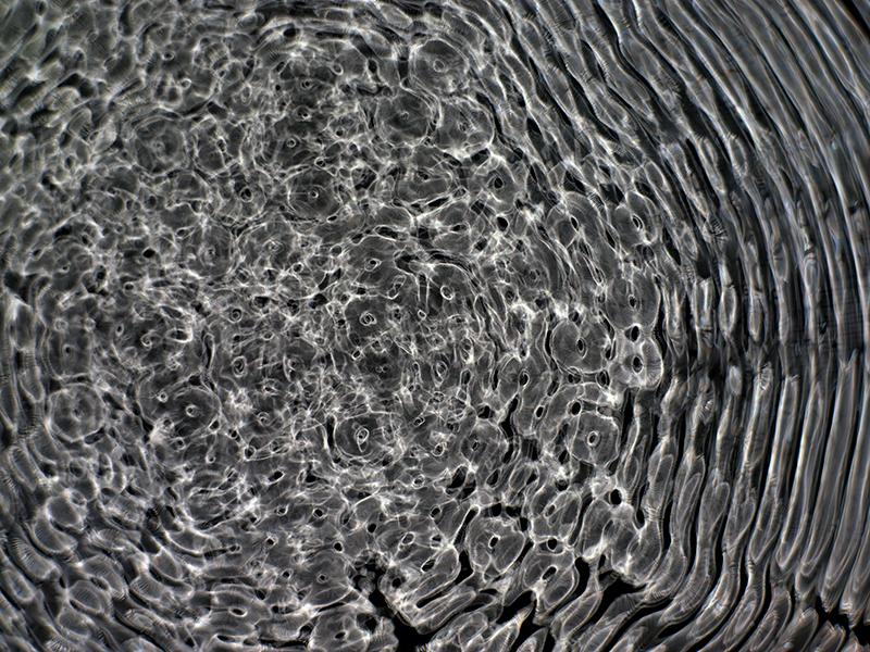 Creative Frontier: Exploring Gravitational Waves through Cymatics Artistry