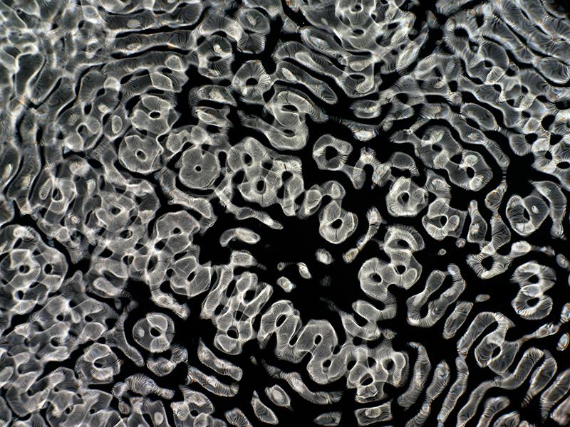 Design Vision: Gravitational Waves Visualized in Cymatics Photography Marvels